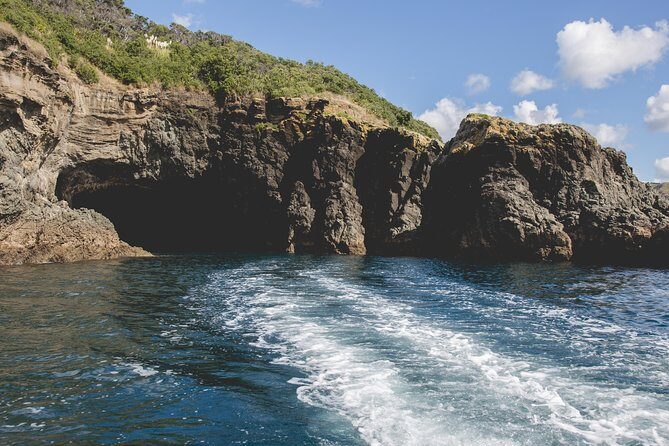 Glass Bottom Boat Tour - Stop One: Goat Island Marine Reserve and its shifting underwater menu
