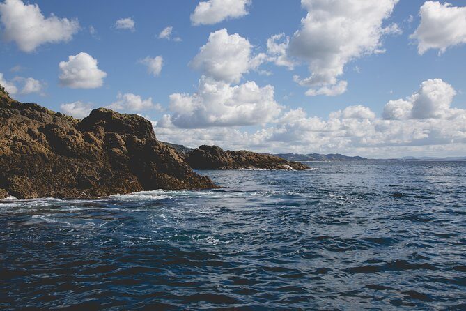 Glass Bottom Boat Tour - What to bring (and what not to)