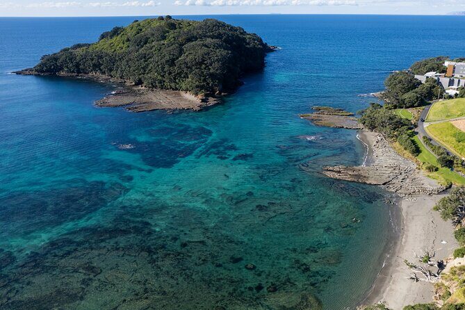 Goat Island Experience Advanced Snorkel Tour - The marine life you’ll actually be trying to spot