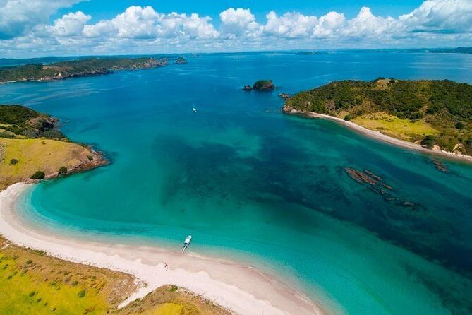 Group tour to Bay of Islands return from Auckland - Price and Planning Check: Is $284.84 Worth It?