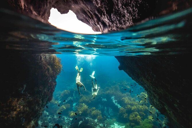 Guided Snorkeling and Island Exploration in Auckland - Key Highlights You’ll Actually Notice
