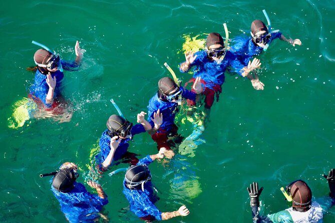 Guided Snorkeling and Island Exploration in Auckland - Price and Value: Is $93.09 a Good Deal for 4 Hours?