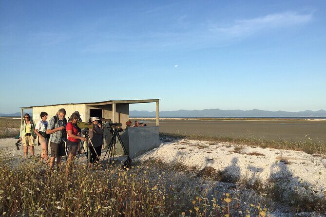Guided Tour at Pukorokoro Shorebird Centre - Understanding the estuary: geology and ecosystem clues