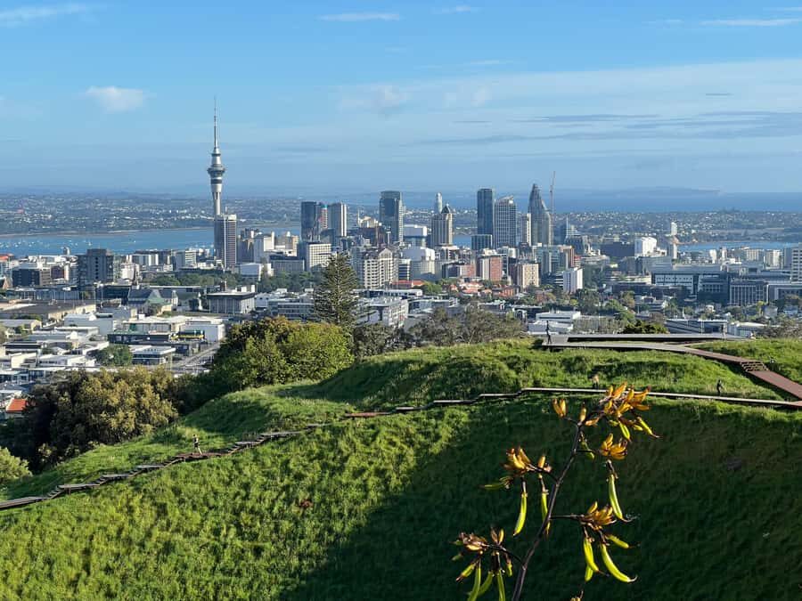 Half-Day Auckland City Highlights Tour with Hotel Pickup - Pickup and the Small-Group Advantage (Up to 10 People)