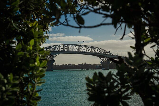 Half-day Discover Auckland City Sightseeing Tour - Key things I’d book this for