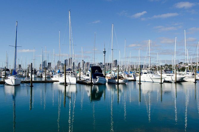 Half-day Discover Auckland City Sightseeing Tour - Westhaven Marina and the Harbour Bridge drive: Auckland’s waterline at full scale
