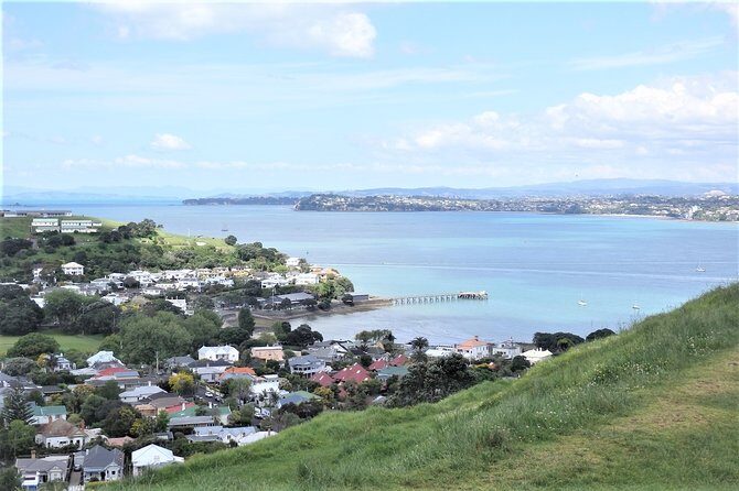 Half-Day: Small Group Auckland Scenic Tour - 4 HOURS - Volcanic Lookouts That Turn Auckland into a 3D City