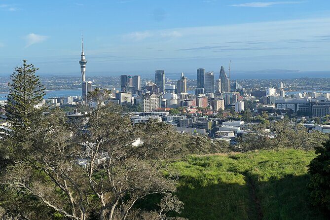 Half-Day Tour: AUCKLAND CITY Highlights with Hotel Pickup - Key things you’ll notice on this Auckland highlights drive