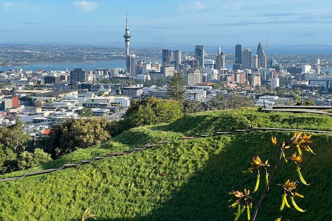 Half-Day Tour: AUCKLAND CITY Highlights with Hotel Pickup - Getting your bearings with Auckland hotel pickup