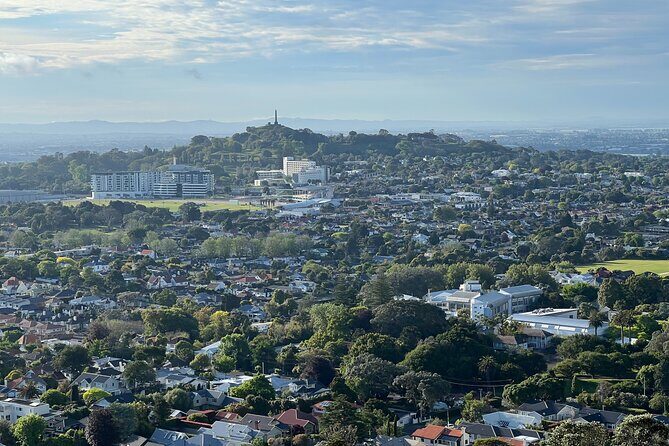 Half-Day Tour: AUCKLAND CITY Highlights with Hotel Pickup - Wynyard Quarter and the City of Sails vibe