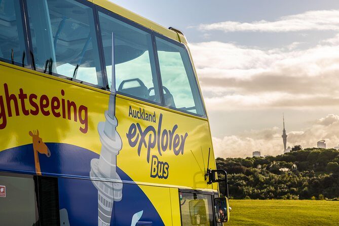 Half-Day Volcano Tour from Auckland - One Tree Hill (Maungakiekie): History, City Perspectives, and Cornwall Park Craters