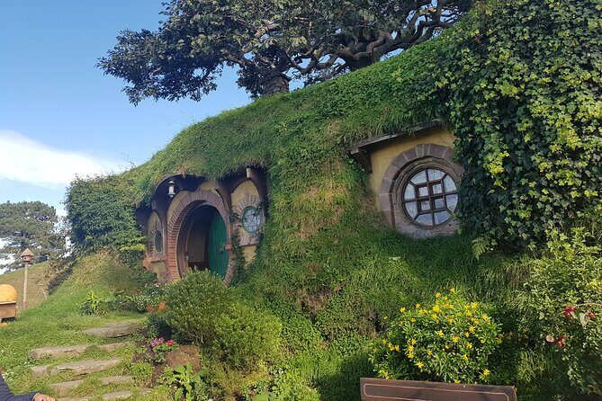 Hobbiton Afternoon Tour in Luxury Minibus from Auckland - The luxury minibus setup (and what to expect in comfort)