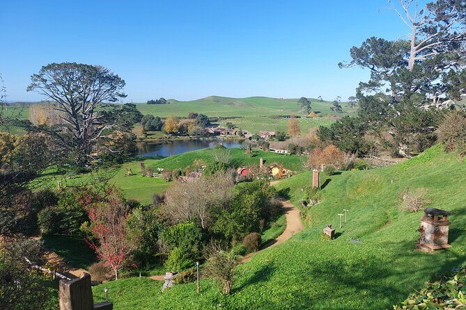 Hobbiton Afternoon Tour in Luxury Minibus from Auckland - The Waikato drive: dairy country, local stories, and good pacing