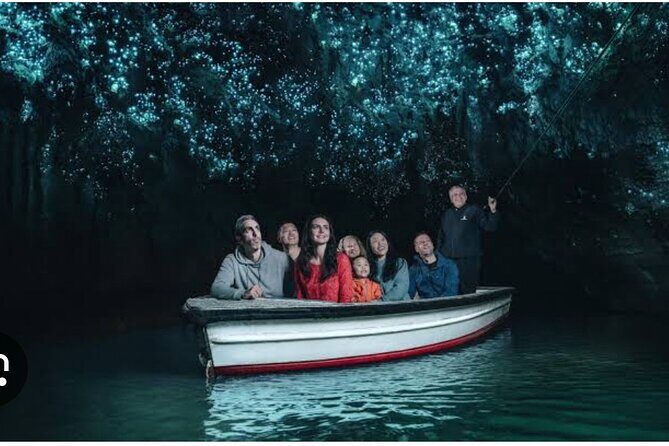 Hobbiton and Waitomo Caves Arrive in Comfort and Style - Pickup in Auckland: from Sofitel and around the cruise/port reality