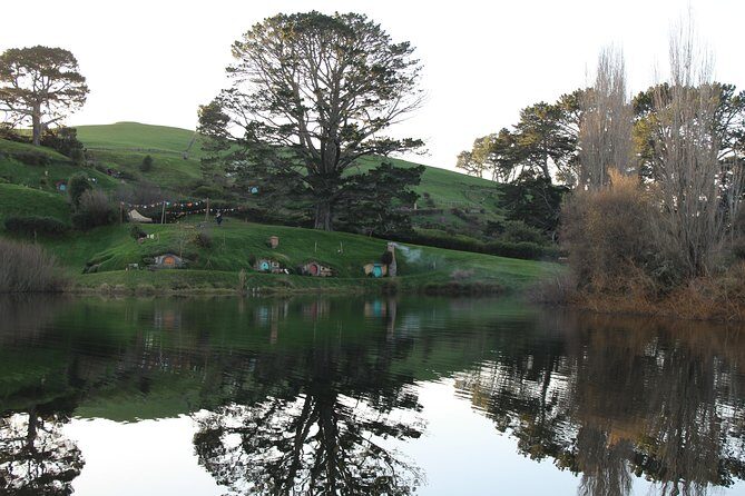 Hobbiton and Waitomo Caves from Auckland - Smaller Group - Getting from Auckland to Hobbiton: what the drive is like