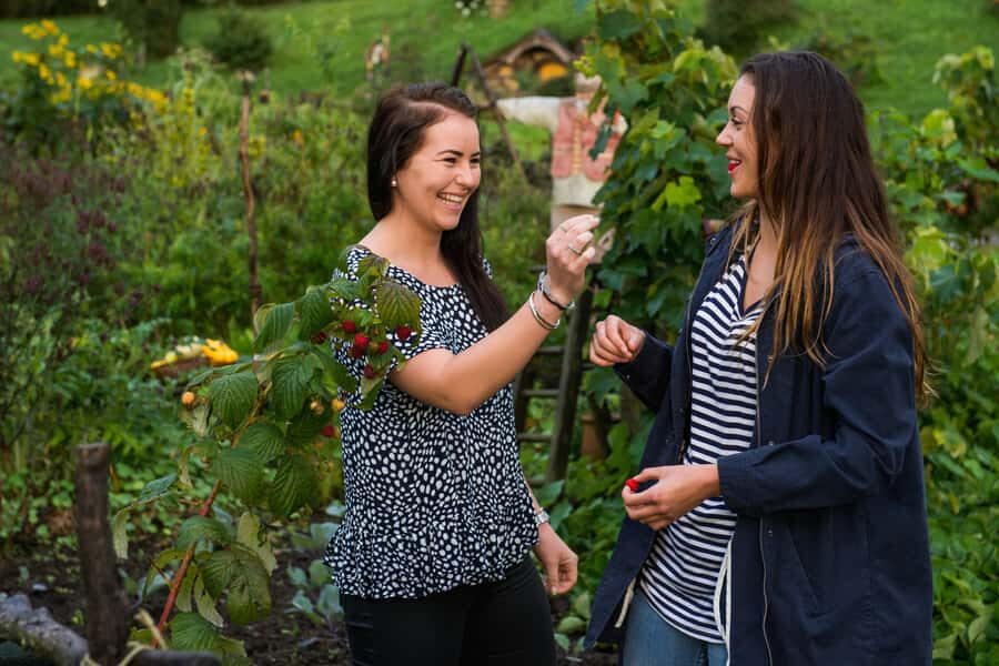 Hobbiton Movie Set & Rotorua Premium Day Tour from Auckland - Rotorua at Te Puia: Maori arts and geothermal reality