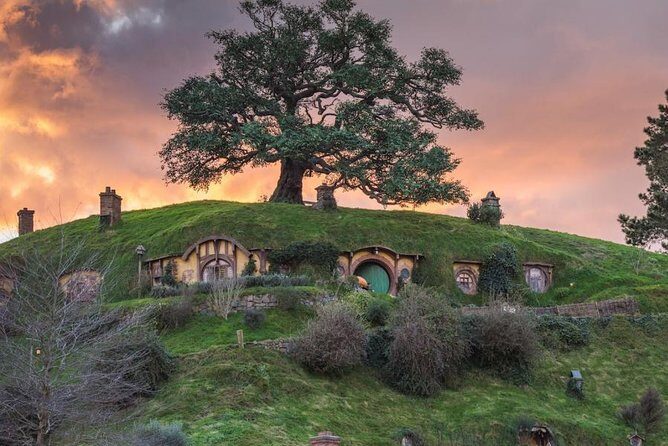 Hobbiton Movie Set Tour from Auckland - Key things to know before you go