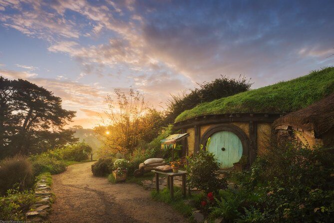 Hobbiton Movie Set tour & Glowworm Cave day tour - Key points to know before you go