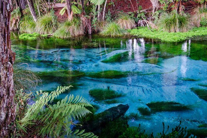 Hobbiton Movie Set tour & Glowworm Cave day tour - Hobbiton movie set: the guided Shire walk you’ll actually enjoy