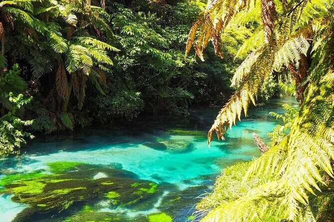 Hobbiton Movie Set Tour to Blue Springs and Mineral Spa - Te Aroha Mineral Spa: the included private wooden bath hour