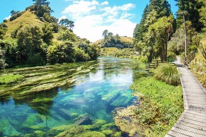 Hobbiton Movie Set Tour to Blue Springs and Mineral Spa - What makes it feel private: small-group routing that fits couples and families