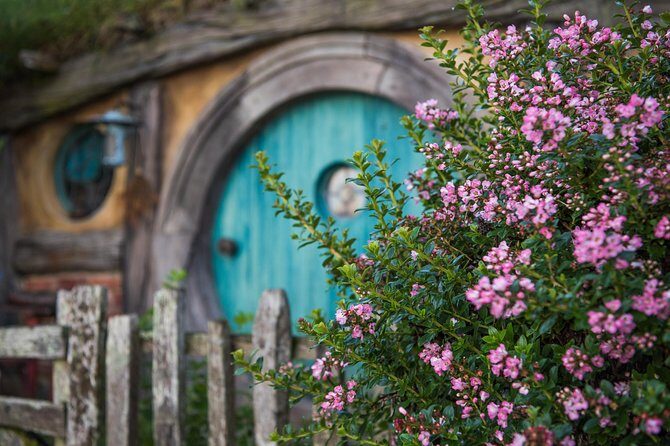 Hobbiton Movie set & Waitomo Caves Small Group Tour From Auckland - Key things to know before you go