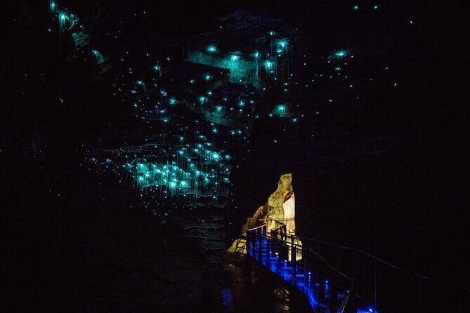Hobbiton Movie Set & Waitomo Glow Worm Caves Private Tour - Waitomo Glowworm Caves: the boat ride is the whole point