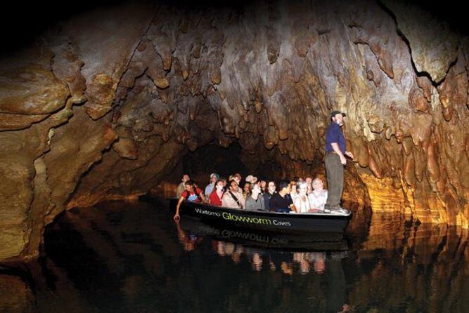 Hobbiton & Waitomo Caves Guided Tour from Auckland with Lunch - Coach Comfort, In-Car Wi‑Fi, and Staying Sane on a 12-Hour Day