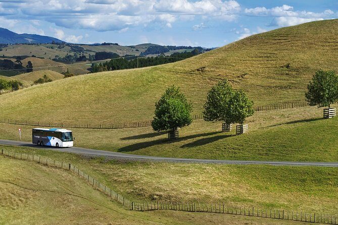 Hobbiton & Waitomo Caves Guided Tour from Auckland with Lunch - Who Should Book This Hobbiton and Waitomo Day Trip