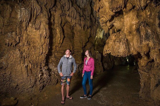 Hobbiton & Waitomo Caves Small Group Tour from Auckland inc Lunch - Price and value: $235.20 for tickets, guidance, and the no-driving payoff