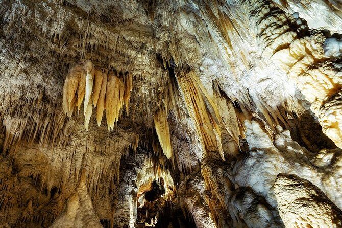 Hobbiton & Waitomo Caves Small Group Tour from Auckland inc Lunch - Should you book this for your Auckland time?
