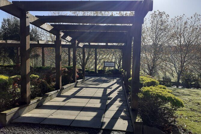 Kumeu Winery Boutique Tour with Gourmet Lunch from Auckland - Kumeu Wine Country in one half-day: why this tour works