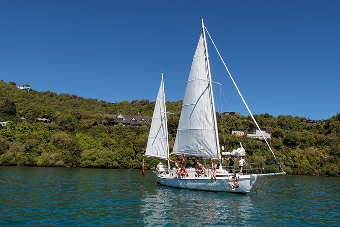 Lake Taupō Private Day Tour from Auckland to Māori Rock Carvings - Mine Bay Māori Rock Carvings: the cruise that carries the day