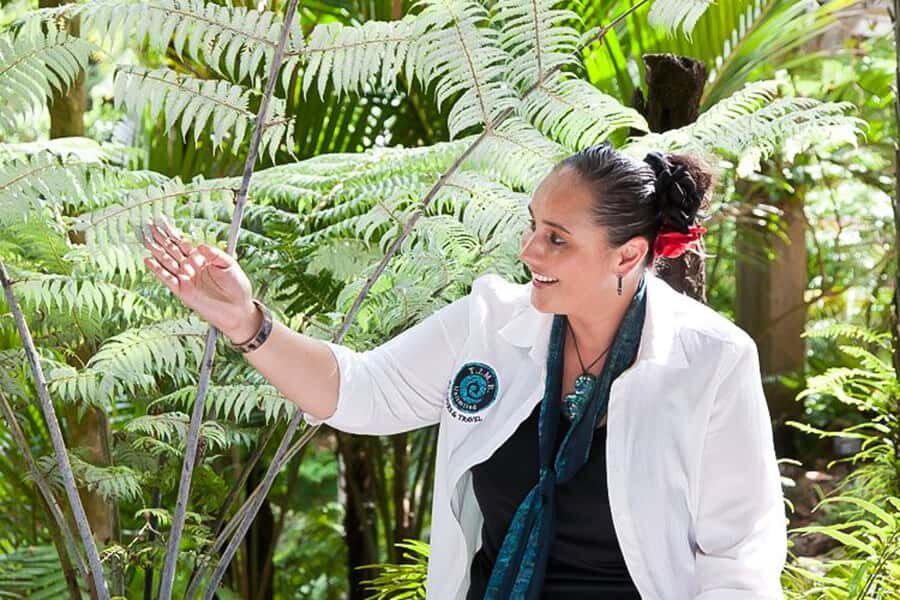 Luxury Auckland Maori Tour - Luxury Ride, Real Rhythm: How the Day Feels in Motion