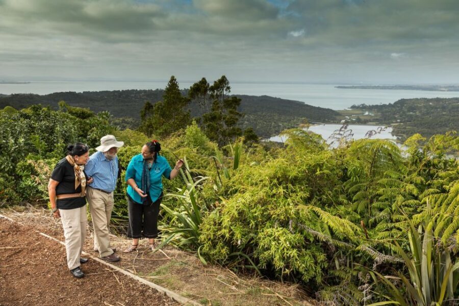 Luxury Auckland Maori Tour - What You’re Paying $295 For: Value Beyond the Sticker Price