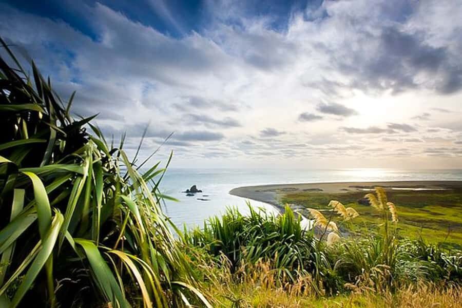 Luxury Auckland Maori Tour - Eco-Cultural Focus and Small-Group No-Pit-Stop Flow