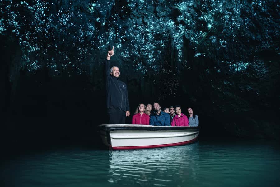 Magical Hobbiton & Waitomo Caves Small Group from Auckland - Auckland to Waitomo: the road trip that sets the tone