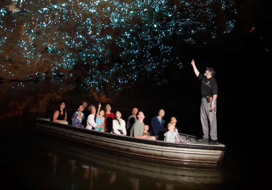 Magical Hobbiton & Waitomo Caves Small Group from Auckland - Price and value: is $248 a smart trade for your time?