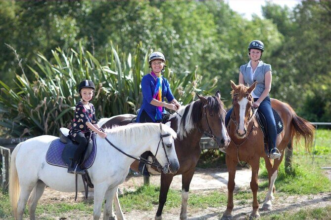 Matakana Art & Horse Riding Experience Private Tour From Auckland - Key things to know before you go