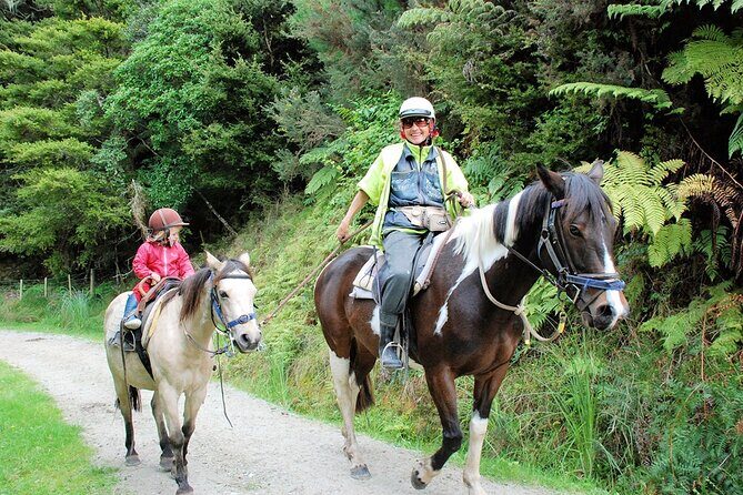 Matakana Art & Horse Riding Experience Private Tour From Auckland - Getting out of Auckland: private transport that actually helps