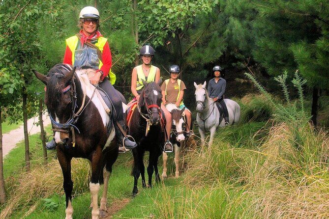 Matakana Art & Horse Riding Experience Private Tour From Auckland - Charlies Gelato: the local stop that keeps it grounded
