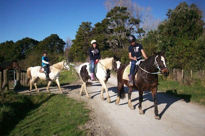Matakana Art & Horse Riding Experience Private Tour From Auckland - Lunch at Rothko Restaurant: included and actually scheduled