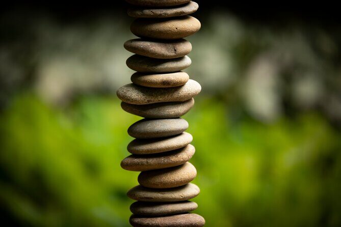 Matakana Art & Vineyard Experience incl. Lunch & Wine Tasting Tour From Auckland - Matakana in a single 9-hour loop from Auckland