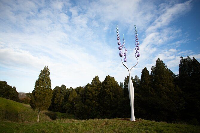 Matakana Art & Vineyard Experience incl. Lunch & Wine Tasting Tour From Auckland - Brick Bay Sculpture Trail: contemporary art in native bush