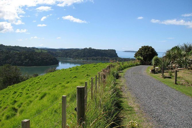 Matakana Scenic Coastal Getaway from Auckland - Key things to know before you go