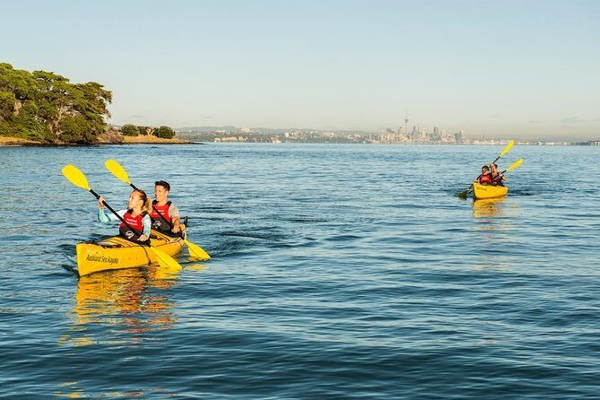 Motukorea / Browns Island Sea Kayak Journey - Key highlights