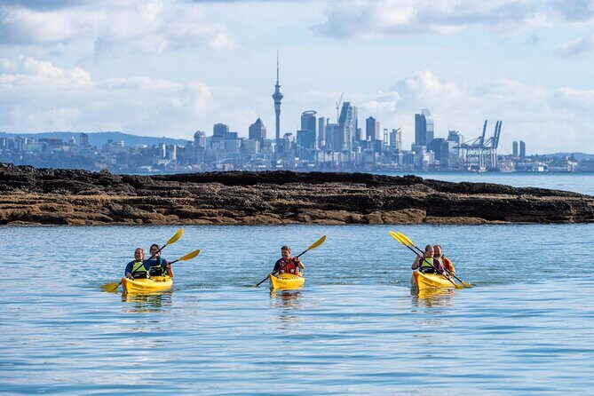 Motukorea / Browns Island Sea Kayak Journey - Price and value: what $121.01 buys you (and what it avoids)