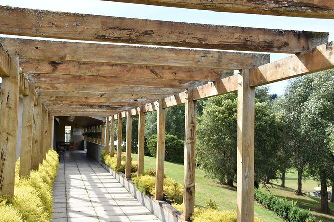 Muriwai Scenic Wine Tour from Auckland - What to Bring (So Weather Doesn’t Ruin Your Photos)