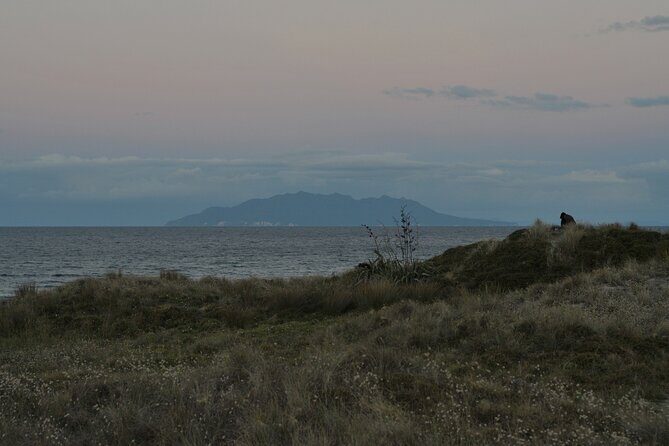Nocturnal Wonders Tawharanui Kiwi Spotting and Stargazing Tour - Stargazing at a Dark-Sky Site: Telescopes, Binoculars, and Stories