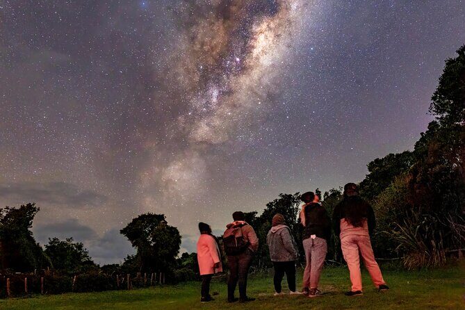 Nocturnal Wonders Tawharanui Kiwi Spotting and Stargazing Tour - Who This Tour Suits Best (and Who Might Want Another Plan)